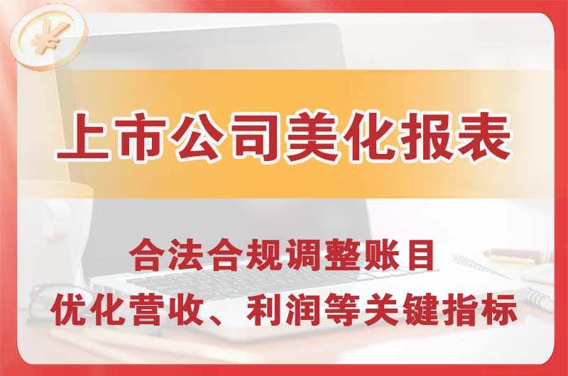 嘉兴上市公司美化报表
